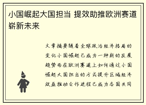 小国崛起大国担当 提效助推欧洲赛道崭新未来