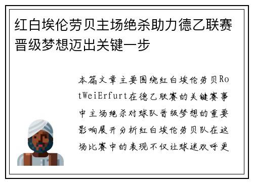红白埃伦劳贝主场绝杀助力德乙联赛晋级梦想迈出关键一步